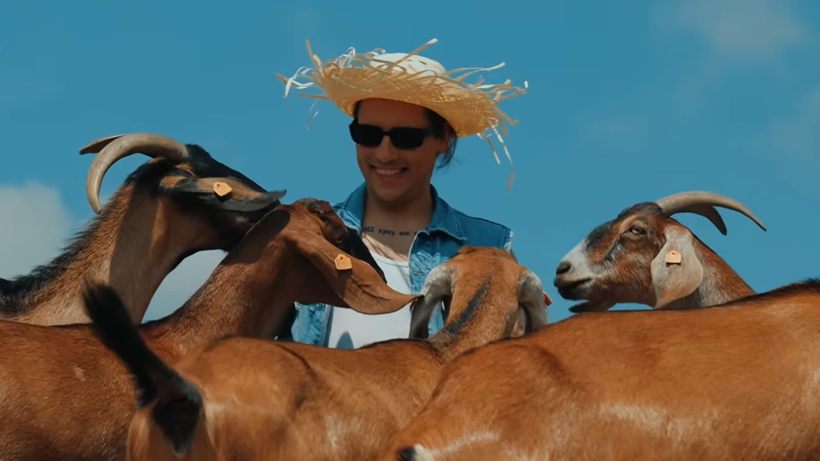 Miły Pan - koncerty, muzyka, disco polo, wydarzenia